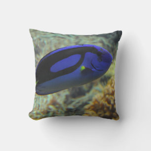 Paracanthurus hepatus cushion