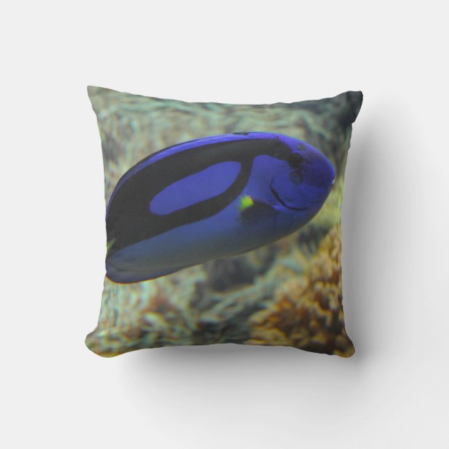 Paracanthurus hepatus cushion (Front)