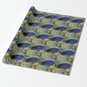 Paracanthurus hepatus wrapping paper