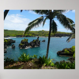 Paradise Beach - Maui, Hawaii Poster