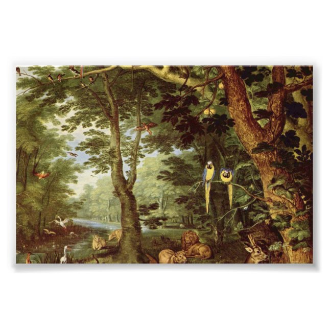 Paradise Photo Print (Front)