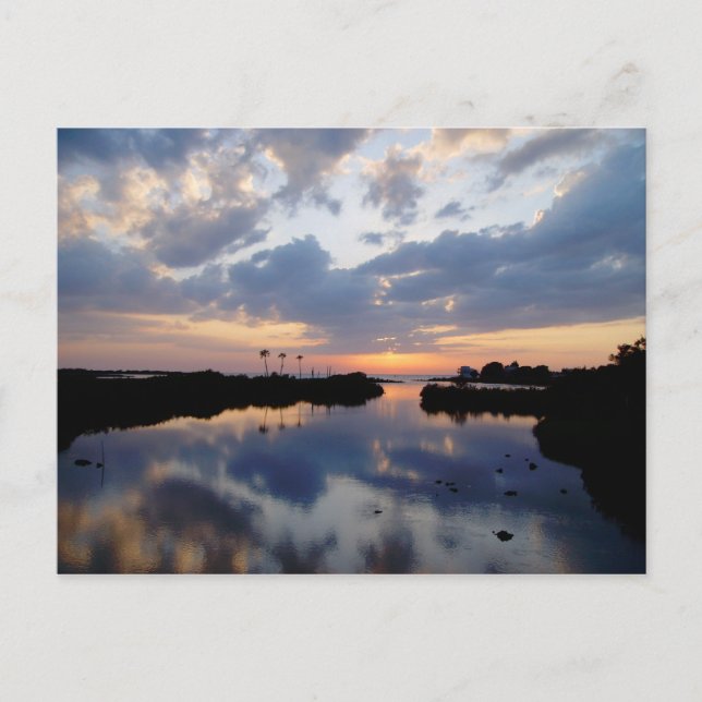 Paradise Postcard (Front)