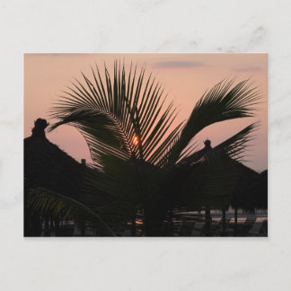 Paradise Village - Puerto Vallarta, Mexico Postcard