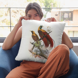 Paradisea sanguinea (1873)  cushion