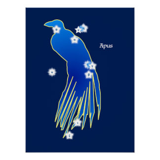 Paradisier Constellation Poster