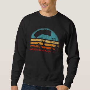 Paragliding Paraglider Pilot Vintage Paraglider 3 Sweatshirt