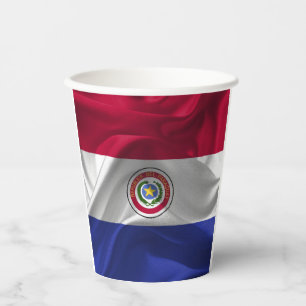 Paraguay flag paper cups