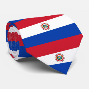 Paraguay flag tie