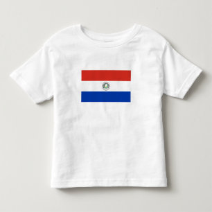 Paraguay Flag Toddler T-Shirt