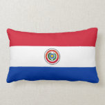 PARAGUAY LUMBAR CUSHION<br><div class="desc">PARAGUAY</div>