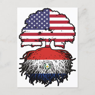 Paraguay Paraguayan American USA Tree Roots Flag Postcard