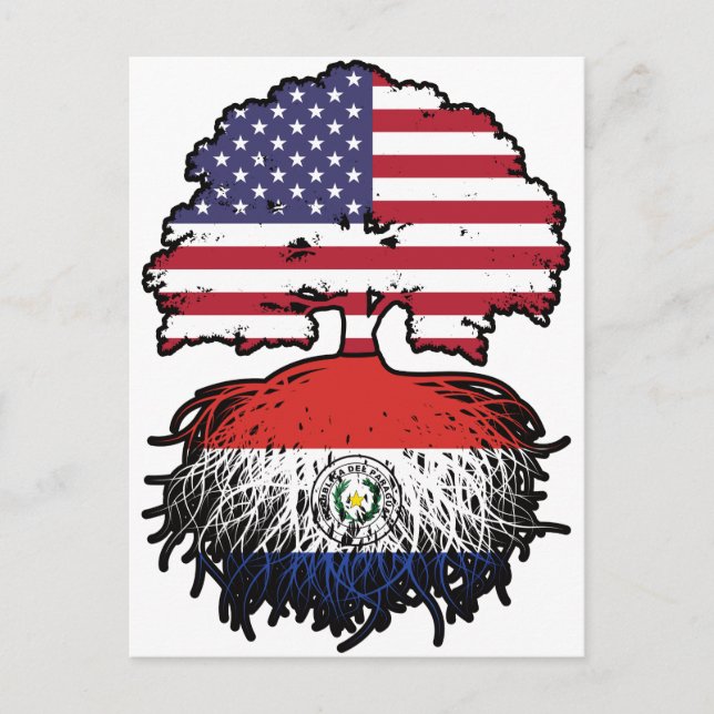 Paraguay Paraguayan American USA Tree Roots Flag Postcard (Front)