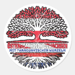 Paraguay Paraguayisch Österreichisch Österreich Classic Round Sticker