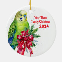 Parakeet and Christmas Bow