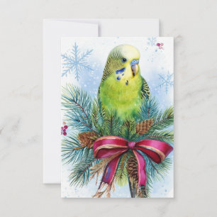 Parakeet and Christmas Ribbon Christmas Card