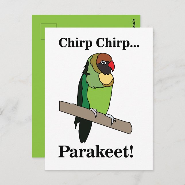 Parakeet Bird  Postcard (Front/Back)