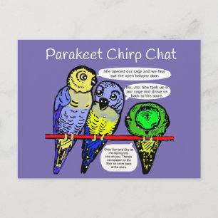 Parakeet Chirp and Talk is Cheep Postcard