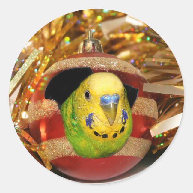 Parakeet Christmas Classic Round Sticker (Front)