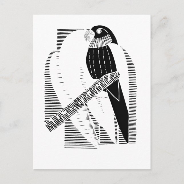 Parakeet Front Minimalist Animal Art Abstract Postcard (Front)