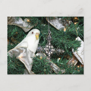 Parakeet in a Christmas tree Holiday Postcard