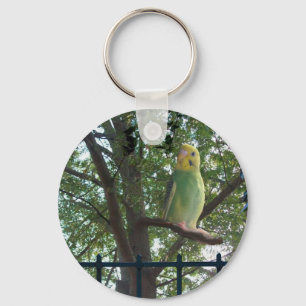 Parakeet Key Ring