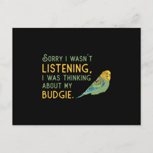 Parakeet Lover About My Budgie Budgerigar Budgie Postcard