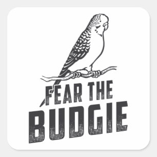Parakeet Lover Fear The Budgie Budgerigar Birds Square Sticker