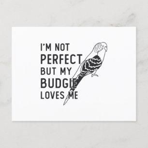 Parakeet Lover My Budgie Loves Me Birds Budgerigar Postcard