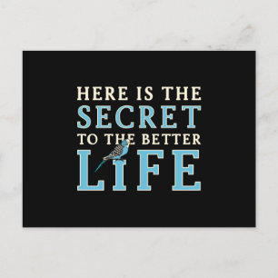 Parakeet Lover Secret To Better Life Budgerigar Postcard