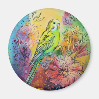 Parakeet Magnet