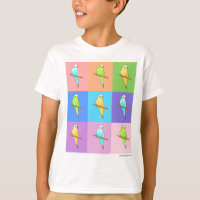 Parakeet Rainbow Rectangles
