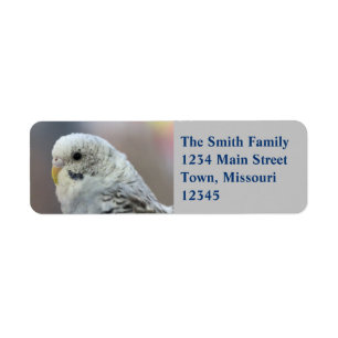 Parakeet Return Address Label