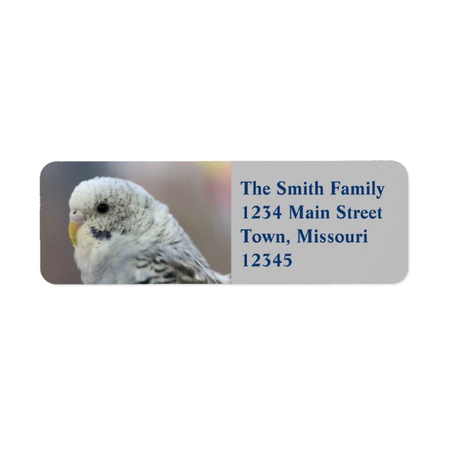 Parakeet Return Address Label (Front)