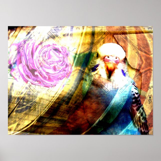 Parakeet rose collage- Print (Front)