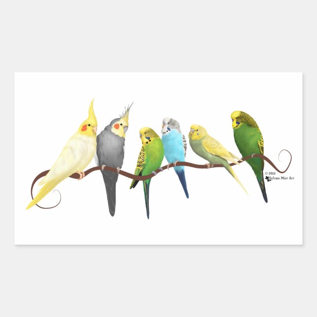 Parakeets & Cockatiels! Rectangular Sticker (Front)