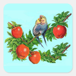 parakeets in love square sticker