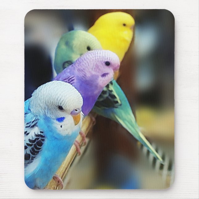 Parakeets mousepad (Front)