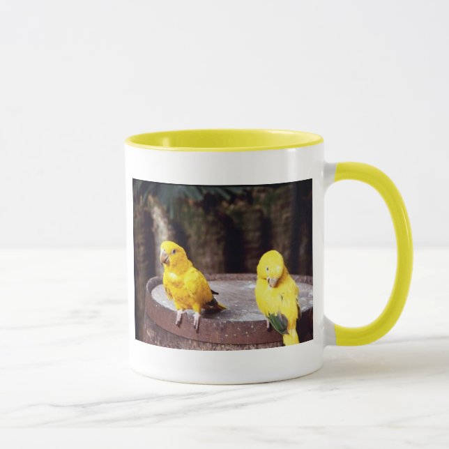 parakeets mug (Right)