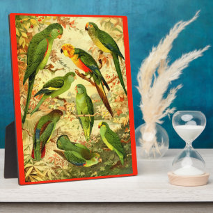 Parakeets Plaque