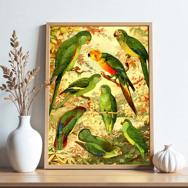 Parakeets Poster (Creator Uploaded)