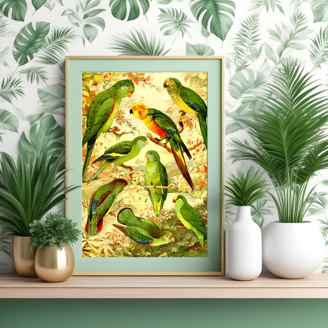 Parakeets Poster (Creator Uploaded)
