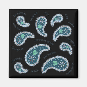 Paramecia Paisley Biology Science Microbe Dark Magnet