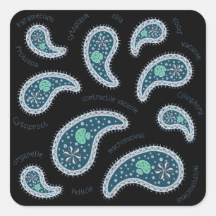 Paramecia Paisley Biology Science MIcrobe Dark Square Sticker