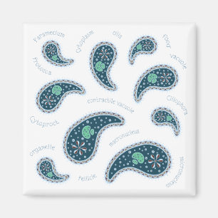 Paramecia Paisley Biology Science Microbe White Magnet