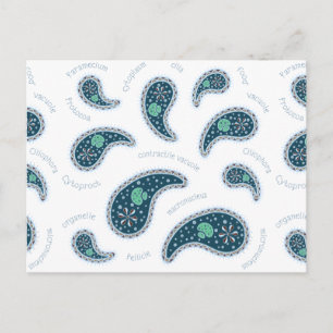 Paramecia Paisley Customisable Biology Custom Postcard