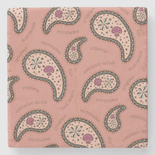 Paramecia Paisley Customisable Biology Mauve Stone Coaster
