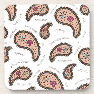 Paramecia Paisley Customizable Biology White Coaster
