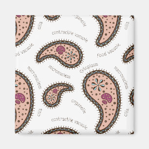 Paramecia Paisley Personalizable Biology White Magnet
