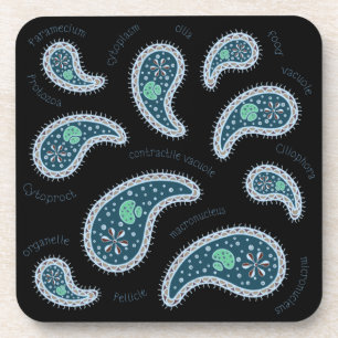 Paramecia Paisley Protozoan Biology Science Black Coaster