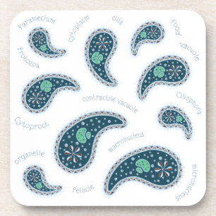 Paramecia Paisley Protozoan Biology Science Coaster